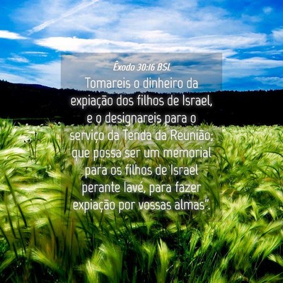 Picture 04 - Êxodo 30:16 BSL - Tomareis o dinheiro da expiação dos filhos de - Bible Verse Picture