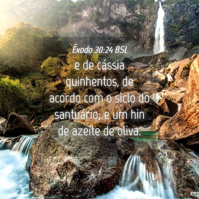 Picture 04 - Êxodo 30:24 BSL - e de cássia quinhentos, de acordo com o siclo do - Bible Verse Picture