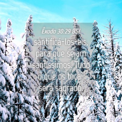 Picture 04 - Êxodo 30:29 BSL - santificá-los-eis, para que sejam santíssimos. - Bible Verse Picture