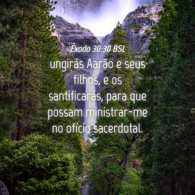 Picture 04 - Êxodo 30:30 BSL - ungirás Aarão e seus filhos, e os - Bible Verse Picture