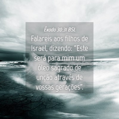 Picture 04 - Êxodo 30:31 BSL - Falareis aos filhos de Israel, dizendo: “Este - Bible Verse Picture