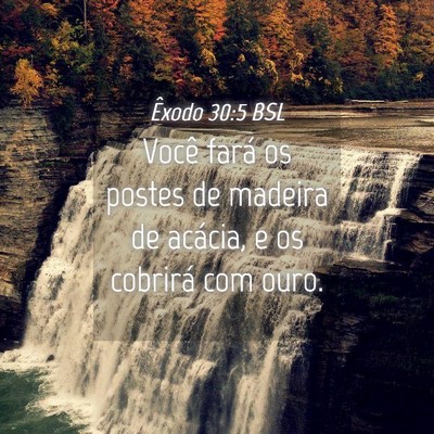 Picture 04 - Êxodo 30:5 BSL - Você fará os postes de madeira de acácia, e os - Bible Verse Picture