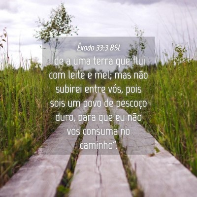 Picture 04 - Êxodo 33:3 BSL - Ide a uma terra que flui com leite e mel; mas - Bible Verse Picture