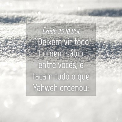 Picture 04 - Êxodo 35:10 BSL - “'Deixem vir todo homem sábio entre vocês, e - Bible Verse Picture
