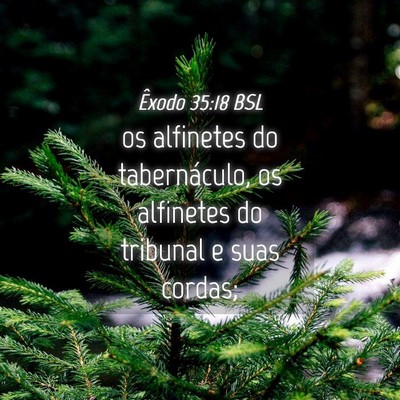 Picture 04 - Êxodo 35:18 BSL - os alfinetes do tabernáculo, os alfinetes do - Bible Verse Picture