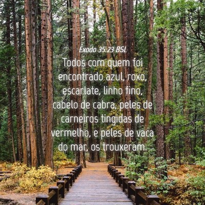 Picture 04 - Êxodo 35:23 BSL - Todos com quem foi encontrado azul, roxo, - Bible Verse Picture