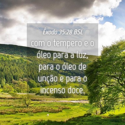 Picture 04 - Êxodo 35:28 BSL - com o tempero e o óleo para a luz, para o óleo - Bible Verse Picture