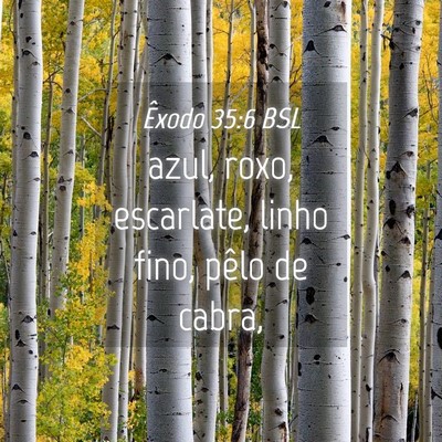 Picture 04 - Êxodo 35:6 BSL - azul, roxo, escarlate, linho fino, pêlo de - Bible Verse Picture