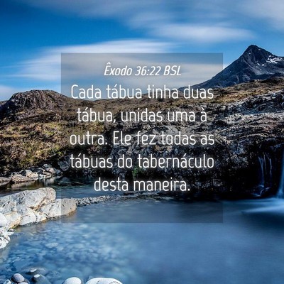 Picture 04 - Êxodo 36:22 BSL - Cada tábua tinha duas tábua, unidas uma à - Bible Verse Picture