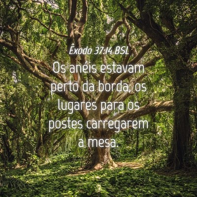 Picture 04 - Êxodo 37:14 BSL - Os anéis estavam perto da borda, os lugares para - Bible Verse Picture