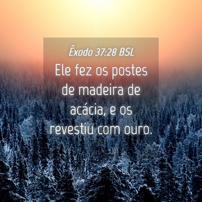 Picture 04 - Êxodo 37:28 BSL - Ele fez os postes de madeira de acácia, e os - Bible Verse Picture