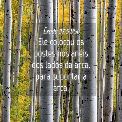 Picture 04 - Êxodo 37:5 BSL - Ele colocou os postes nos anéis dos lados da - Bible Verse Picture