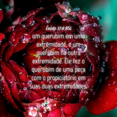 Picture 04 - Êxodo 37:8 BSL - um querubim em uma extremidade, e um querubim na - Bible Verse Picture