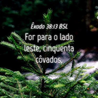 Picture 04 - Êxodo 38:13 BSL - For para o lado leste, cinqüenta - Bible Verse Picture