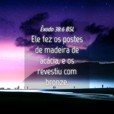Picture 04 - Êxodo 38:6 BSL - Ele fez os postes de madeira de acácia, e os - Bible Verse Picture