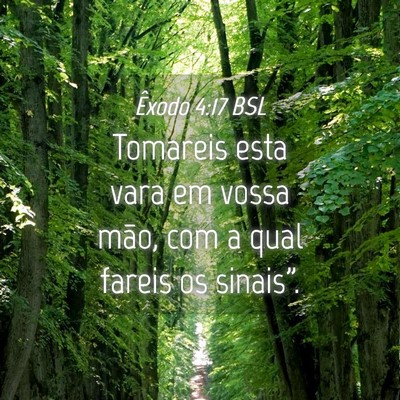 Picture 04 - Êxodo 4:17 BSL - Tomareis esta vara em vossa mão, com a qual - Bible Verse Picture