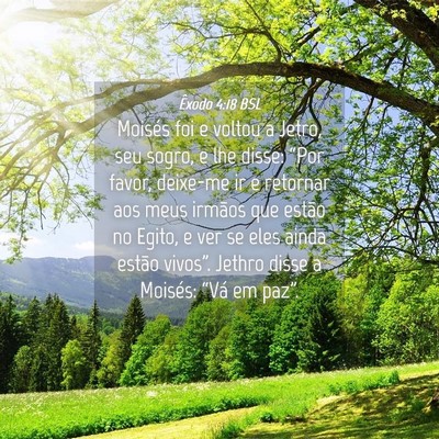 Picture 04 - Êxodo 4:18 BSL - Moisés foi e voltou a Jetro, seu sogro, e lhe - Bible Verse Picture