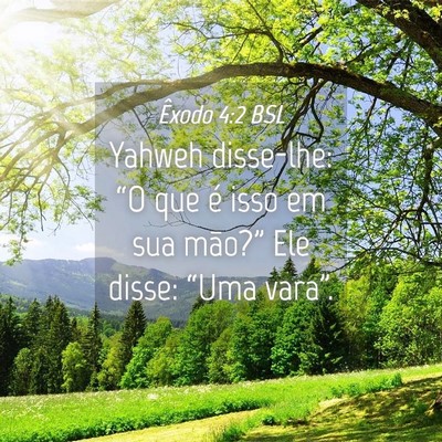 Picture 04 - Êxodo 4:2 BSL - Yahweh disse-lhe: “O que é isso em sua - Bible Verse Picture