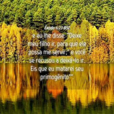 Picture 04 - Êxodo 4:23 BSL - e eu lhe disse: “Deixe meu filho ir, para que - Bible Verse Picture