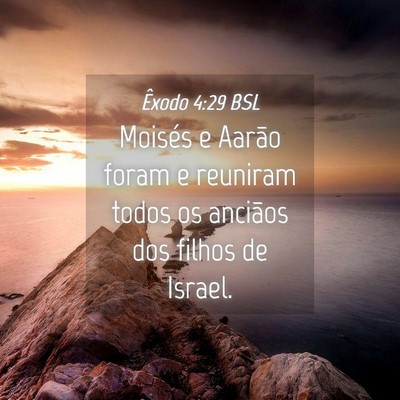 Picture 04 - Êxodo 4:29 BSL - Moisés e Aarão foram e reuniram todos os - Bible Verse Picture