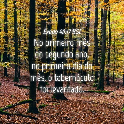 Picture 04 - Êxodo 40:17 BSL - No primeiro mês do segundo ano, no primeiro dia - Bible Verse Picture