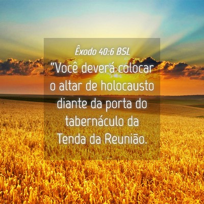 Picture 04 - Êxodo 40:6 BSL - “Você deverá colocar o altar de holocausto - Bible Verse Picture