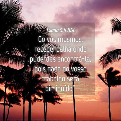 Picture 04 - Êxodo 5:11 BSL - Go vós mesmos, recebei palha onde puderdes - Bible Verse Picture