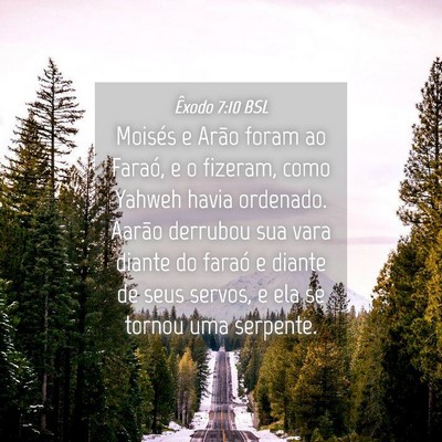 Picture 04 - Êxodo 7:10 BSL - Moisés e Arão foram ao Faraó, e o fizeram, - Bible Verse Picture