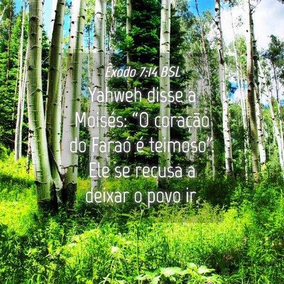 Picture 04 - Êxodo 7:14 BSL - Yahweh disse a Moisés: “O coração do Faraó - Bible Verse Picture