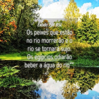 Picture 04 - Êxodo 7:18 BSL - Os peixes que estão no rio morrerão e o rio se - Bible Verse Picture