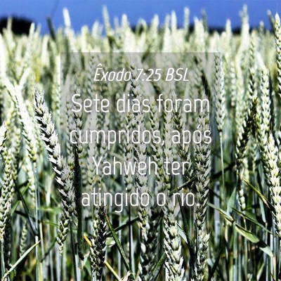 Picture 04 - Êxodo 7:25 BSL - Sete dias foram cumpridos, após Yahweh ter - Bible Verse Picture