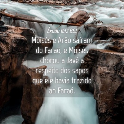 Picture 04 - Êxodo 8:12 BSL - Moisés e Arão saíram do Faraó, e Moisés - Bible Verse Picture