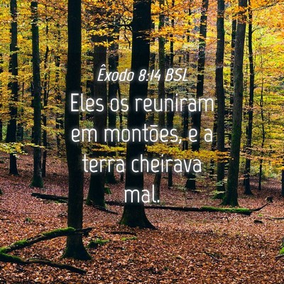 Picture 04 - Êxodo 8:14 BSL - Eles os reuniram em montões, e a terra cheirava - Bible Verse Picture