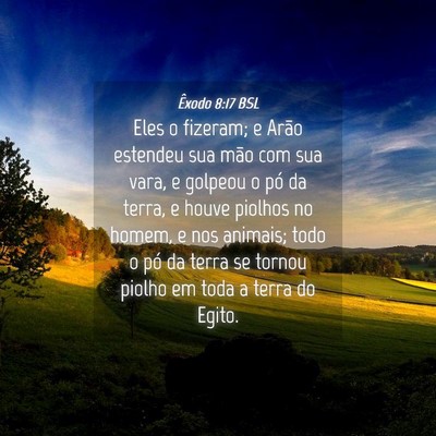 Picture 04 - Êxodo 8:17 BSL - Eles o fizeram; e Arão estendeu sua mão com sua - Bible Verse Picture