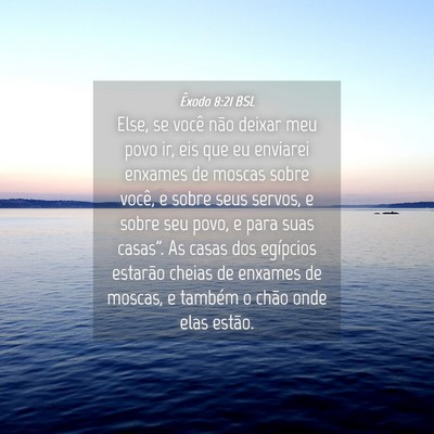 Picture 04 - Êxodo 8:21 BSL - Else, se você não deixar meu povo ir, eis que - Bible Verse Picture