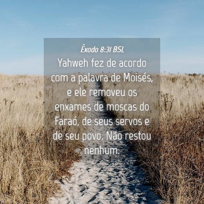 Picture 04 - Êxodo 8:31 BSL - Yahweh fez de acordo com a palavra de Moisés, e - Bible Verse Picture