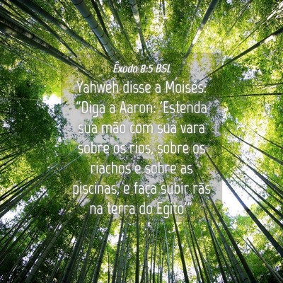 Picture 04 - Êxodo 8:5 BSL - Yahweh disse a Moisés: “Diga a Aaron: 'Estenda - Bible Verse Picture