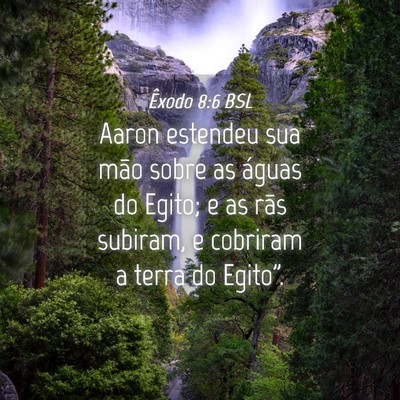 Picture 04 - Êxodo 8:6 BSL - Aaron estendeu sua mão sobre as águas do Egito; - Bible Verse Picture