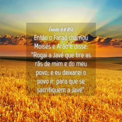 Picture 04 - Êxodo 8:8 BSL - Então o Faraó chamou Moisés e Arão e disse: - Bible Verse Picture
