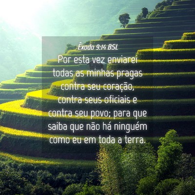 Picture 04 - Êxodo 9:14 BSL - Por esta vez enviarei todas as minhas pragas - Bible Verse Picture