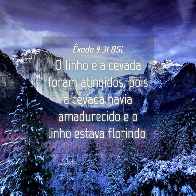 Picture 04 - Êxodo 9:31 BSL - O linho e a cevada foram atingidos, pois a cevada - Bible Verse Picture