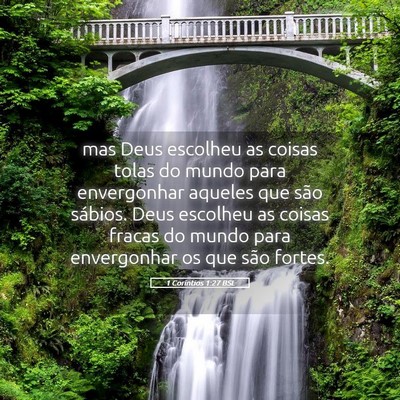 Picture 05 - 1 Coríntios 1:27 BSL - mas Deus escolheu as coisas tolas do mundo para - Bible Verse Picture