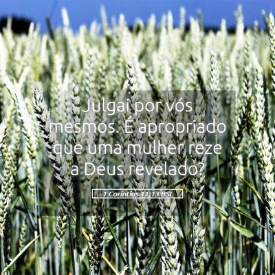 Picture 05 - 1 Coríntios 11:13 BSL - Julgai por vós mesmos. É apropriado que uma - Bible Verse Picture
