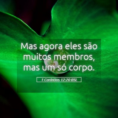 Picture 05 - 1 Coríntios 12:20 BSL - Mas agora eles são muitos membros, mas um só - Bible Verse Picture