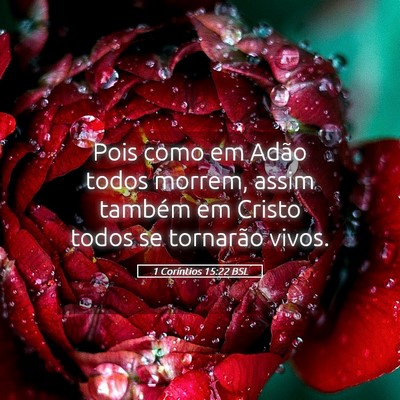 Picture 05 - 1 Coríntios 15:22 BSL - Pois como em Adão todos morrem, assim também em - Bible Verse Picture