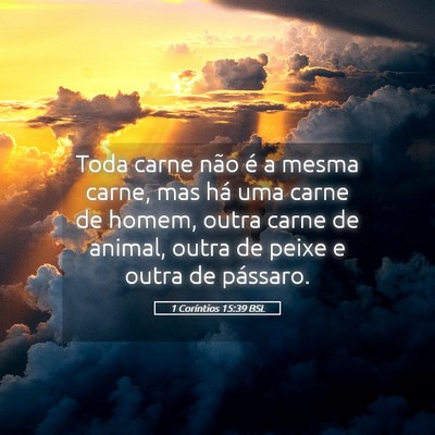 Picture 05 - 1 Coríntios 15:39 BSL - Toda carne não é a mesma carne, mas há uma - Bible Verse Picture