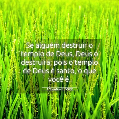 Picture 05 - 1 Coríntios 3:17 BSL - Se alguém destruir o templo de Deus, Deus o - Bible Verse Picture