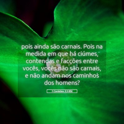 Picture 05 - 1 Coríntios 3:3 BSL - pois ainda são carnais. Pois na medida em que - Bible Verse Picture