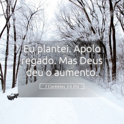 Picture 05 - 1 Coríntios 3:6 BSL - Eu plantei. Apolo regado. Mas Deus deu o - Bible Verse Picture