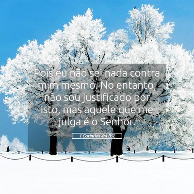 Picture 05 - 1 Coríntios 4:4 BSL - Pois eu não sei nada contra mim mesmo. No - Bible Verse Picture
